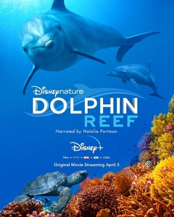 Watch Dolphin Reef (2019) Online FREE