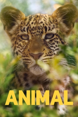 Watch Animal (2021) Online FREE