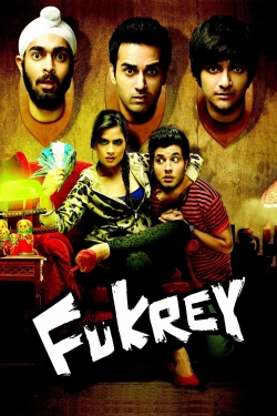 Watch Fukrey (2013) Online FREE