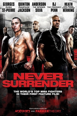 Watch Never Surrender (2009) Online FREE