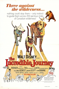 Watch The Incredible Journey (1963) Online FREE