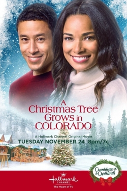 Watch A Christmas Tree Grows in Colorado (2020) Online FREE