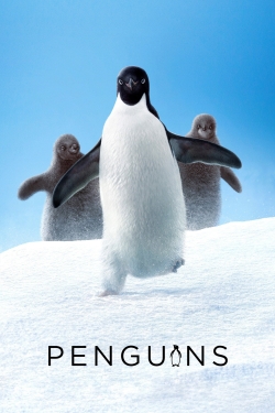 Watch Penguins (2019) Online FREE