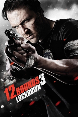 Watch 12 Rounds 3: Lockdown (2015) Online FREE