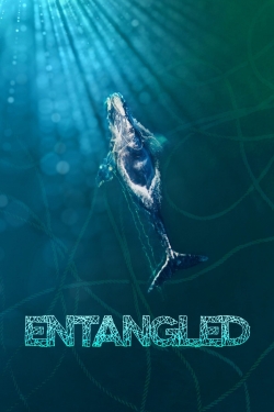 Watch Entangled: The Race to Save Right Whales from Extinction (2020) Online FREE