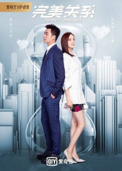 Watch Perfect Partner (2020) Online FREE