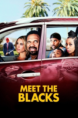 Watch Meet the Blacks (2016) Online FREE