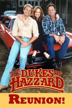 Watch The Dukes of Hazzard: Reunion! (1997) Online FREE