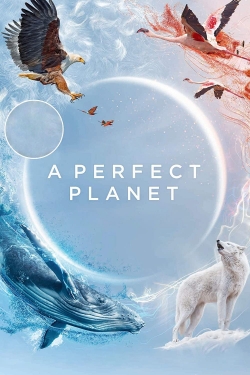 Watch A Perfect Planet (2021) Online FREE