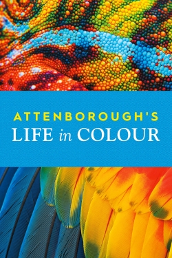 Watch Attenborough's Life in Colour (2021) Online FREE