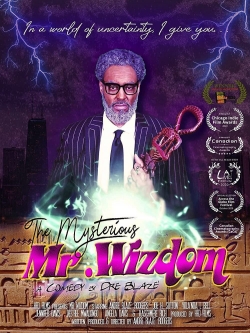 Watch The Mysterious Mr. Wizdom (2020) Online FREE