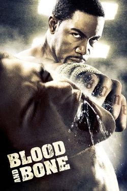 Watch Blood and Bone (2009) Online FREE