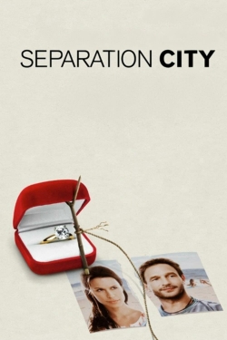 Watch Separation City (2009) Online FREE