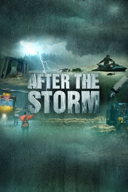 Watch After the Storm (2022) Online FREE