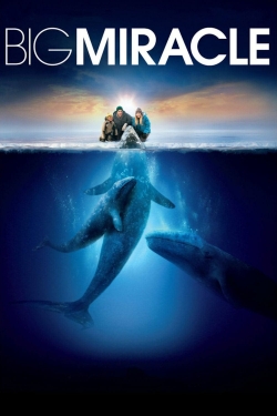 Watch Big Miracle (2012) Online FREE