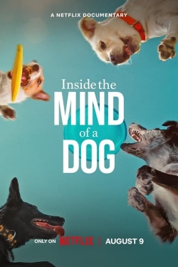 Watch Inside the Mind of a Dog (2024) Online FREE