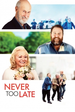 Watch Never Too Late (2020) Online FREE