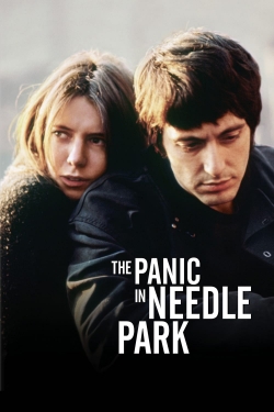 Watch The Panic in Needle Park (1971) Online FREE