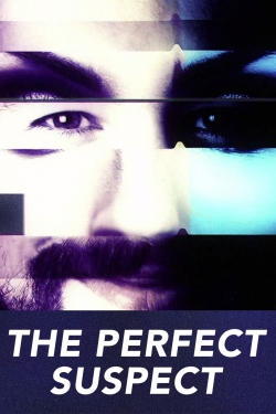 Watch The Perfect Suspect (2017) Online FREE
