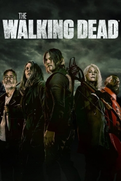 Watch The Walking Dead (2010) Online FREE