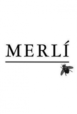 Watch Merlí (2015) Online FREE