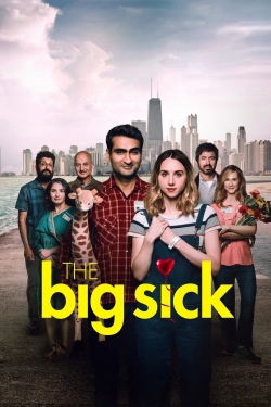 Watch The Big Sick (2017) Online FREE