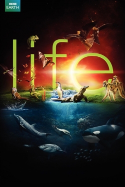 Watch Life (2009) Online FREE