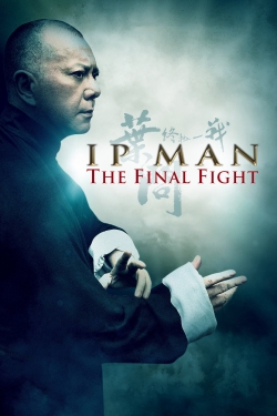 Watch Ip Man: The Final Fight (2013) Online FREE