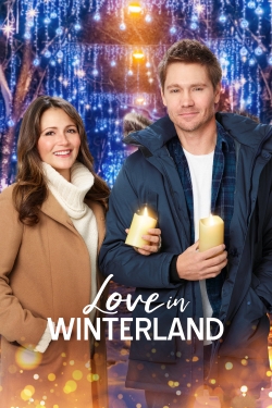 Watch Love in Winterland (2020) Online FREE