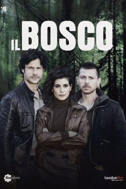 Watch O Bosque Escuro (2015) Online FREE