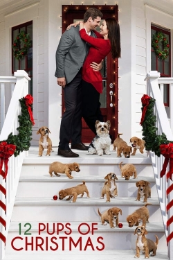 Watch 12 Pups of Christmas (2019) Online FREE