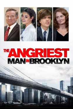Watch The Angriest Man in Brooklyn (2014) Online FREE