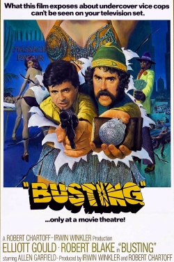 Watch Busting (1974) Online FREE