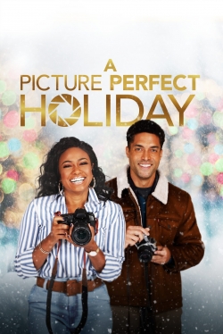 Watch A Picture Perfect Holiday (2021) Online FREE