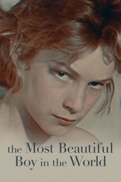 Watch The Most Beautiful Boy in the World (2021) Online FREE