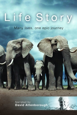 Watch Life Story (2014) Online FREE