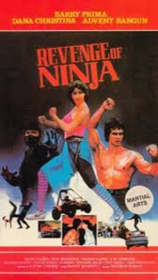 Watch Revenge of the Ninja (1984) Online FREE