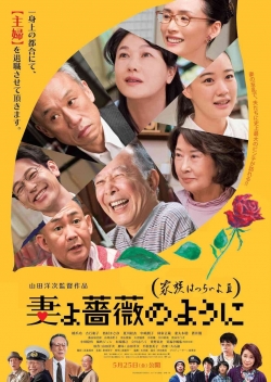 Watch What a Wonderful Family! 3: My Wife, My Life (2018) Online FREE