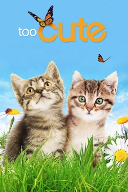 Watch Too Cute (2011) Online FREE