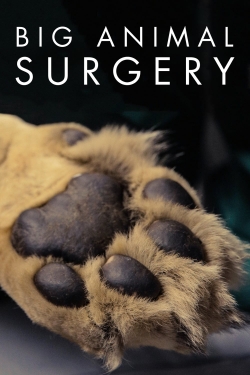 Watch Big Animal Surgery (2019) Online FREE