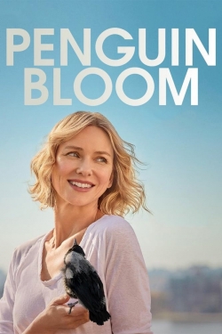 Watch Penguin Bloom (2021) Online FREE