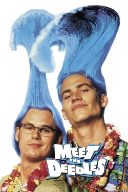 Watch Meet the Deedles (1998) Online FREE