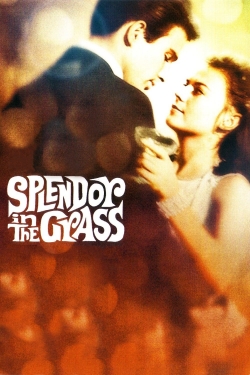 Watch Splendor in the Grass (1961) Online FREE