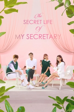 Watch The Secret Life of My Secretary (2019) Online FREE