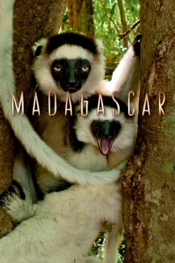 Watch Madagascar (2011) Online FREE