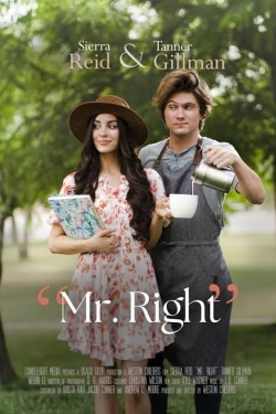 Watch Mr. Right (2023) Online FREE