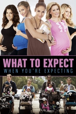 Watch What to Expect When You're Expecting (2012) Online FREE