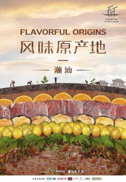 Watch Flavorful Origins (2019) Online FREE