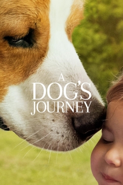 Watch A Dog's Journey (2019) Online FREE