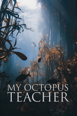 Watch My Octopus Teacher (2020) Online FREE